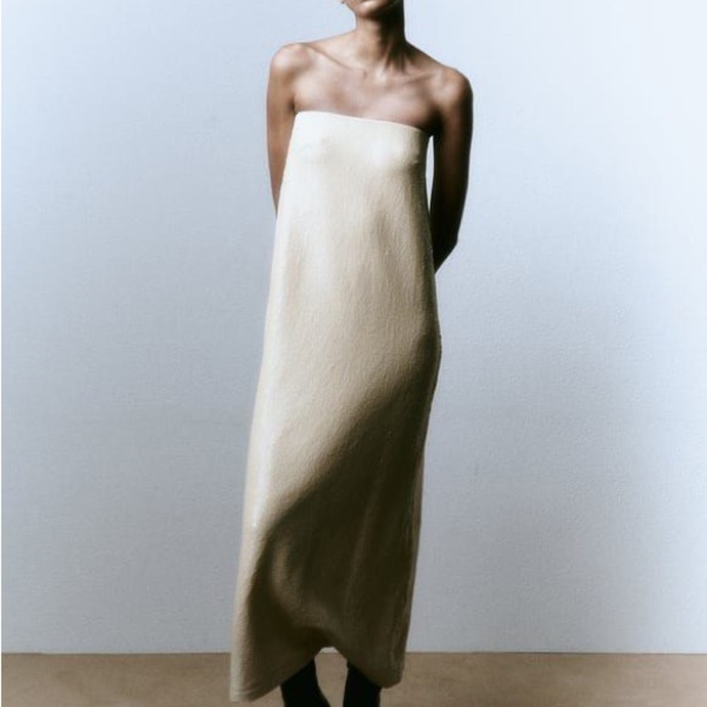 Zara Strapless Cream/Pale Yellow Sequins Dress